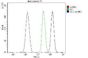 Flow Cytometry analysis of SiHa cells using anti-ITCH/AIP4 antibody (ABIN7600264). (ITCH Antikörper  (AA 17-358))