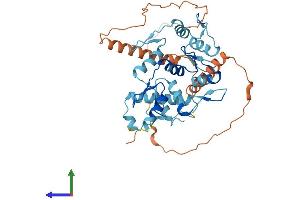 Protein Structure (PS) image for Zinc Finger Protein 514 (ZNF514) (AA 1-400) protein (His tag) (ABIN7545750)