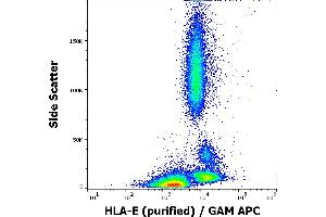 Flow cytometry surface staining pattern of human peripheral blood stained using anti-human HLA-E (3D12) purified antibody (concentration in sample 4 μg/mL) GAM APC. (HLA-E Antikörper)