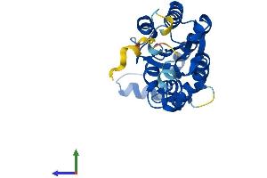 Protein Structure (PS) image for Isoamyl Acetate-Hydrolyzing Esterase 1 Homolog (IAH1) (AA 1-248) protein (His tag) (ABIN7548362)