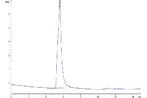 Claudin 6 Protein-VLP (CLDN6) (AA 1-220)