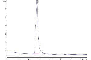 The purity of Cynomolgus Claudin 6 VLP is greater than 95 % as determined by SEC-HPLC. (Claudin 6 Protein-VLP (CLDN6) (AA 1-220))