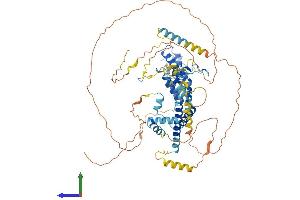 Protein Structure (PS) image for Bromodomain Containing 7 (BRD7) (AA 1-651) protein (His tag) (ABIN7552772)