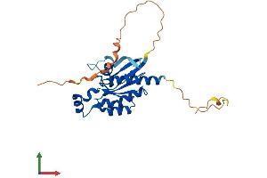 Protein Structure (PS) image for Ras Homolog Gene Family, Member U (RHOU) (AA 1-258) protein (His tag) (ABIN7551414)