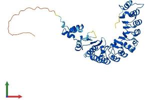Protein Structure (PS) image for F-Box and Leucine-Rich Repeat Protein 3 (FBXL3) (AA 1-428) protein (His tag) (ABIN7547676)