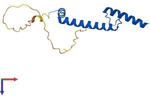 NHLH1 Protein (AA 1-133) (His tag)