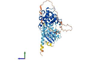 Protein Structure (PS) image for serine/threonine Kinase 25 (STK25) (AA 1-426) protein (His tag) (ABIN7556450)
