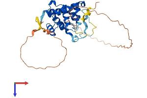 SPDYA Protein (AA 1-313) (His tag)