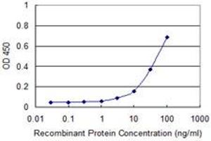 Detection limit for recombinant GST tagged FHIT is approximately 10ng/ml as a capture antibody. (FHIT Antikörper  (AA 31-130))