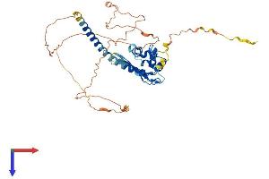 TSPYL5 Protein (AA 1-406) (His tag)