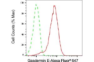 Flow cytometric analysis of Gasdermin E expression in HepG2 cells using Gasdermin E antibody (ABIN7799622), 1:2,000). (Rekombinanter Non-Syndromic Hearing Impairment Protein 5 (GSDME) Antikörper)