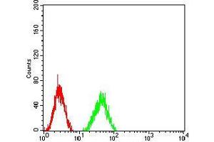 Flow cytometric analysis of HT1080 cells using MMP14 mouse mAb (green) and negative control (red). (MMP14 Antikörper  (AA 112-246))