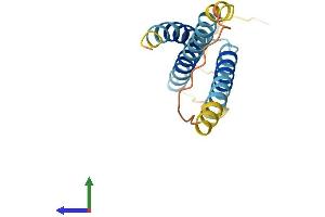 AlphaFold protein structure predicition of Human Recombinant SLC31A2 Protein, UniprotID O15432