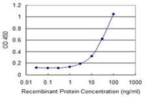 Detection limit for recombinant GST tagged FGGY is 1 ng/ml as a capture antibody. (FGGY Antikörper  (AA 1-99))