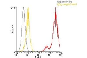 Flow cytometry analysis, intracellular stained, of 106 Jurkat cells using LRRC32, mAb (Plato-1) (PE conjugate) at a concentration of 10μg/ml. (LRRC32 Antikörper  (AA 20-627) (PE))