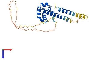 AlphaFold protein structure predicition of Human Recombinant SAMD12 Protein, UniprotID Q8N8I0