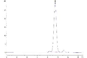 The purity of Mouse TRAIL R2 is greater than 95 % as determined by SEC-HPLC. (TNFRSF10B Protein (AA 53-180) (His tag))