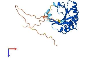 EIF4E2 Protein (AA 1-245) (His tag)