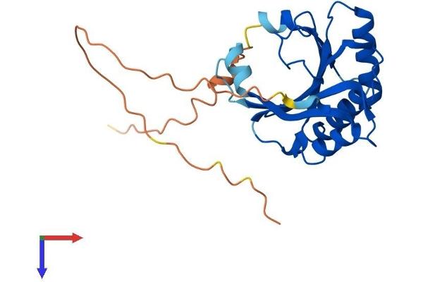 EIF4E2 Protein (AA 1-245) (His tag)
