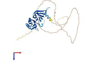 HNRNPA2B1 Protein (AA 1-353) (His tag)