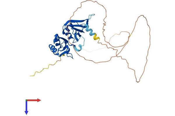 HNRNPA2B1 Protein (AA 1-353) (His tag)