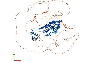 Protein Structure (PS) image for Progesterone Receptor (PGR) (AA 1-933) protein (His tag) (ABIN7555035)