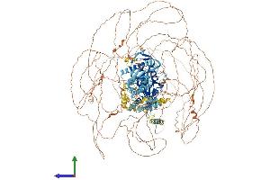Protein Structure (PS) image for Mediator Complex Subunit 1 (MED1) (AA 1-1581) protein (His tag) (ABIN7554493)
