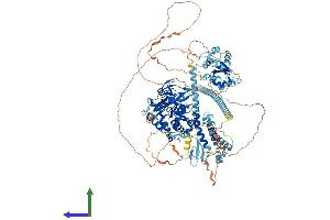 Protein Structure (PS) image for Ubiquitin Specific Peptidase 8 (USP8) (AA 1-1118) protein (His tag) (ABIN7555956)
