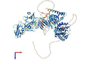 RASA1 Protein (AA 1-1047) (His tag)