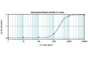 Image no. 1 for anti-Interleukin 1, beta (IL1B) antibody (Biotin) (ABIN465798)
