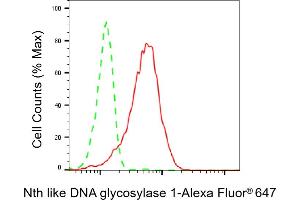 Flow cytometric analysis of Nth like DNA glycosylase 1 expression in HepG2 cells using Nth like DNA glycosylase 1 antibody (ABIN7799628), 1:2,000). (Rekombinanter Nth Endonuclease III-Like 1 (NTHL1) Antikörper)