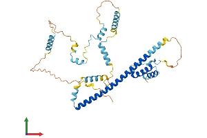Protein Structure (PS) image for Fasciculation and Elongation Protein zeta 2 (Zygin II) (FEZ2) (AA 1-348) protein (His tag) (ABIN7558112)