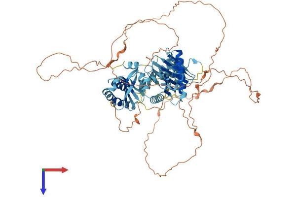 HPS4 Protein (AA 1-708) (His tag)