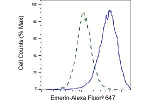 Validation of Emerin knockdown using flow cytometry. (Rekombinanter Emerin Antikörper)
