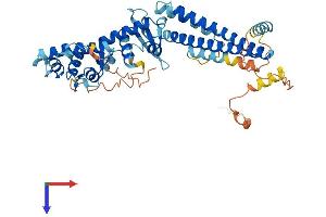 CHMP7 Protein (AA 1-453) (His tag)