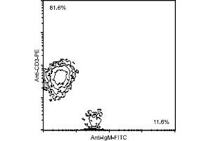 Flow Cytometry (FACS) image for Mouse anti-Chicken IgM antibody (FITC) (ABIN371378) (Maus anti-Huhn IgM Antikörper (FITC))