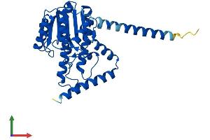 Protein Structure (PS) image for Hydroxysteroid (17-Beta) Dehydrogenase 12 (HSD17B12) (AA 1-312) protein (His tag) (ABIN7562558)