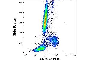 Flow cytometry surface staining pattern of human peripheral whole blood stained using anti-human CD300e (UP-H2) FITC antibody (4 μL reagent / 100 μL of peripheral whole blood). (CD300E Antikörper  (FITC))