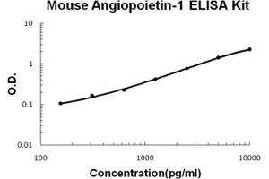 Mouse Angiopoietin-1 PicoKine ELISA Kit standard curve