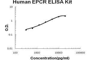 Human EPCR Accusignal ELISA Kit Human EPCR AccuSignal ELISA Kit standard curve.
