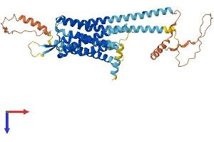 NPY5R Protein (AA 1-466) (His tag)