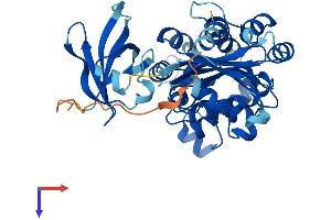 NME7 Protein (AA 1-395) (His tag)