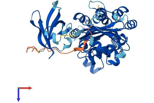 NME7 Protein (AA 1-395) (His tag)