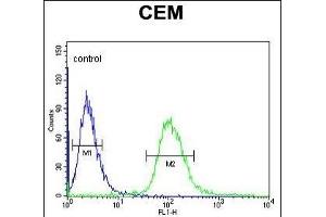 UTY Antibody (C-term) (ABIN653016 and ABIN2842639) flow cytometric analysis of CEM cells (right histogram) compared to a negative control cell (left histogram). (UTY Antikörper  (C-Term))