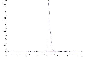 The purity of Human CADM3 is greater than 95 % as determined by SEC-HPLC. (CADM3 Protein (AA 25-329) (His tag))