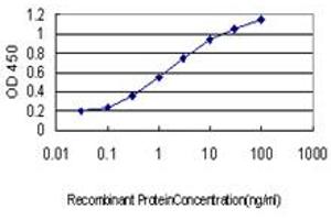 Detection limit for recombinant GST tagged EPOR is approximately 0. (EPOR Antikörper  (AA 31-130))