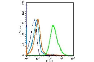 Mouse splenocytes probed with TLR1 Polyclonal Antibody, Unconjugated  at 1:100 for 30 minutes followed by incubation with a conjugated secondary (PE Conjugated) (green) for 30 minutes compared to control cells (blue), secondary only (light blue) and isotype control (orange). (TLR1 Antikörper  (AA 101-200))