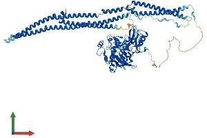 AlphaFold protein structure predicition of Human Recombinant FES Protein, UniprotID P07332