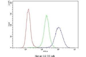 Flow cytometry testing of human U-2 OS cells with Glutathione Reductase antibody at 1ug/10^6 cells (blocked with goat sera) (Glutathione Reductase Antikörper)