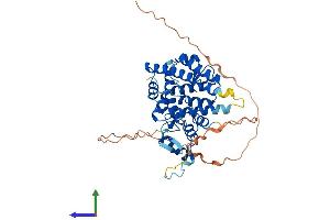 ESRRA Protein (AA 1-422) (His tag)